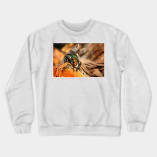 The Fly Crewneck Sweatshirt